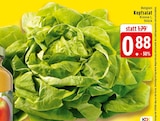 Angebot im EDEKA Greven Prospekt EDEKA Greven Prospekt mit im Angebot für 0,88 €