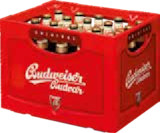 Bier Angebote von Budweiser bei Getränke Quelle WVG Magdeburg für 15,99 €