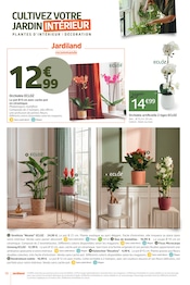 Promos Orchidée dans le catalogue "LES 12J QUI COLORENT VOTRE AUTOMNE !" de Jardiland Orchidée en promo dans le catalogue Jardiland à la page 10