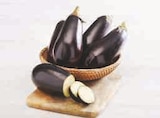 U Express Saint-Laurent-d'Aigouze - Promo Aubergine Promo Aubergine à 2,49 € dans le catalogue U Express à Saint-Laurent-d'Aigouze