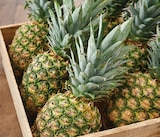 Promo Ananas à 1,49 € dans le catalogue Intermarché Hyper à Lamballe
