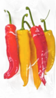 Aktuelles Spitzpaprika Mix Angebot bei EDEKA in Rostock ab 2,49 €