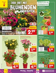 Pflanzen im aktuellen Netto Marken-Discount Prospekt (Bochum) Pflanzen im Netto Marken-Discount Prospekt "Aktuelle Angebote" mit 67 Seiten (Bochum)