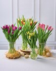 15 Tulipes - U en promo chez Super U Thiais à 6,59 €