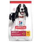 Croquette pour chien adulte au poulet Hill's - 12 kg - HILL'S - Botanic à Sarcelles Croquette pour chien adulte au poulet Hill's - 12 kg - HILL'S en promo chez Botanic Sarcelles à 60,99 €