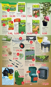 Feinkostlebensmittel im Jawoll Prospekt "Sonderposten-Märkte" mit 16 Seiten (Duisburg)