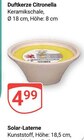 Aktuelle Kerzen Angebote bei GLOBUS in Erlangen Aktuelles Duftkerze Citronella Angebot bei GLOBUS in Erlangen ab 4,99 €
