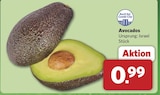 combi Osnabrück - Avocados Angebot im Prospekt Avocados bei combi im Osnabrück Prospekt für 0,99 €