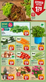 Ähnliche Angebote wie Gartenliege im Prospekt "Dein Markt" auf Seite 7 von REWE in Leinfelden-Echterdingen