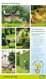 Gartenwerkzeug Angebote im Prospekt "Bunte Jahreszeit!" von Pflanzen Kölle auf Seite 11