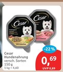 Hundenahrung im Angebot bei budni in Stade Hundenahrung Angebote von Cesar bei budni Stade für 0,69 €