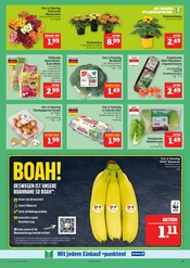 Kartoffeln im Marktkauf Prospekt in Schwabach Aktueller Marktkauf Prospekt mit Kartoffeln, "AUSWAHL RIESIG, PREISE NIEDRIG", Seite 11