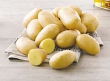 Pomme de terre de consommation - Super U à Beauvais Pomme de terre de consommation en promo chez Super U Beauvais à 2,59 €
