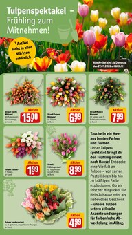 Tulpen im aktuellen REWE Prospekt (Osnabrück) Tulpen im REWE Prospekt "Dein Markt" mit 32 Seiten (Osnabrück)
