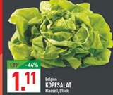 Aktuelles KOPFSALAT Angebot bei Marktkauf in Wuppertal ab 1,11 €