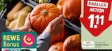 Aktuelles Hokkaido Kürbis Angebot bei REWE in Osnabrück ab 1,11 €