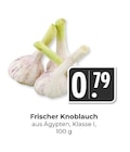 Hieber - Frischer Knoblauch Angebot im Prospekt Frischer Knoblauch bei Hieber im Prospekt "" für 0,79 €