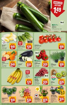 Gemüse im aktuellen REWE Prospekt (Jena) Gemüse im REWE Prospekt "Dein Markt" mit 34 Seiten (Jena)