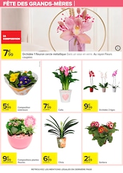 Promos Orchidée dans le catalogue "LE MOIS VIP VERY IMPORTANT PROMOS*" de Carrefour à la page 84