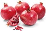 REWE Güstrow - Granatapfel Angebot im Prospekt Granatapfel bei REWE im Güstrow Prospekt für 1,49 €