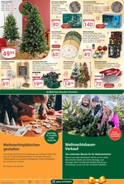 Aktueller GLOBUS Prospekt mit Weihnachtsbaumständer, "Aktuelle Angebote", Seite 28