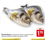 Aktuelles Dorade Royal Angebot bei EDEKA in Heilbronn ab 1,79 €