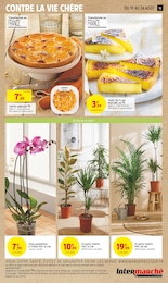 Offre Abricot dans le catalogue Intermarché du moment à la page 13