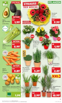 Pfanne Angebot im aktuellen Kaufland Prospekt auf Seite 17