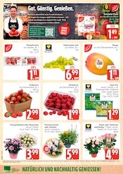 Aktueller E center Prospekt mit Pflanzen, "Top Angebote", Seite 6