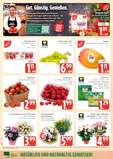 Äpfel im aktuellen E center Prospekt (Rostock) Äpfel im E center Prospekt "Top Angebote" mit 36 Seiten (Rostock)