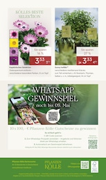 Kraeutertopf im Pflanzen Kölle Prospekt "FRÜHLING ERLEBEN" auf Seite 16