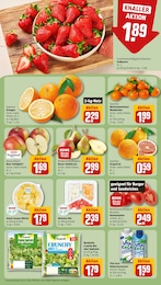 Ananas Angebot im aktuellen REWE Prospekt auf Seite 6