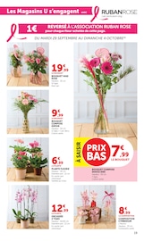 Promotion Plante Verte dans le prospectus Super U, valable du 29/09/2026 au 11/10/2026 Promo Plante Verte dans le catalogue Super U du moment à la page 19