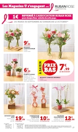 Orchidée Angebote im Prospekt "U Express" von U Express auf Seite 27