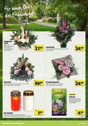 Aktueller Hagebaumarkt Prospekt mit Grabpflege, "VERSCHÖNERE MIT UNS DEINEN GARTEN", Seite 14