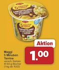 5 Minuten Terrine Angebote von Maggi bei famila Nordwest Lingen für 1,00 €