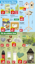 Gartendeko Angebot im aktuellen Thomas Philipps Prospekt auf Seite 2