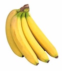 Kamerun Bananen im Angebot bei EDEKA in Osnabrück Kamerun Bananen Angebote bei EDEKA Osnabrück für 1,11 €