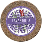 Lavandula Angebote von Koch bei REWE Bochum für 3,49 €