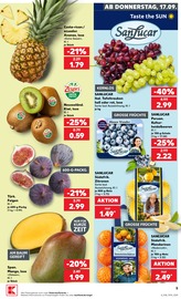 Aktueller Kaufland Prospekt mit Mango, "Hier bin ich richtig", Seite 17