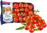 Mini Roma Rispentomate im Angebot bei REWE in Völklingen Mini Roma Rispentomate Angebote von San Lucar bei REWE Völklingen für 2,22 €