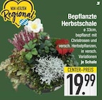 E center Ottobrunn - Bepflanzte Herbstschale Angebot im Prospekt Bepflanzte Herbstschale bei E center im Ottobrunn Prospekt für 19,99 €