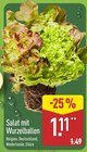 Aktuelle Salat Angebote bei ALDI Nord in Hannover Aktuelles Salat mit Wurzelballen Angebot bei ALDI Nord in Hannover ab 1,11 €
