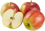 Rote Tafeläpfel im aktuellen Prospekt bei nahkauf in Ketsch