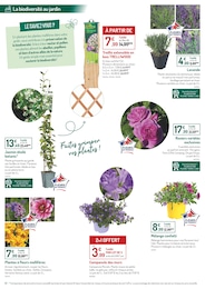 Prix et réduction Campanule dans le prospectus Botanic en cours Offre Campanule dans le catalogue Botanic du moment à la page 4