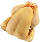 Aktuelle Hähnchen Angebote bei REWE in Hildesheim Aktuelles Frische Maishähnchen Angebot bei REWE in Hildesheim ab 0,79 €