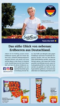 Gemüse im aktuellen REWE Prospekt (Karlsruhe) Gemüse im REWE Prospekt "Dein Markt" mit 28 Seiten (Karlsruhe)