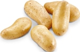 Aktuelles Speisefrühkartoffeln Angebot bei METRO in Chemnitz ab 15,93 €