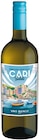 Vino Bianco D’Italia von Cari Saluti im aktuellen Netto mit dem Scottie Prospekt