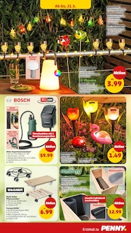 Tulpen im Penny Prospekt "Wer günstig will, muss Penny." mit 45 Seiten (Würzburg)